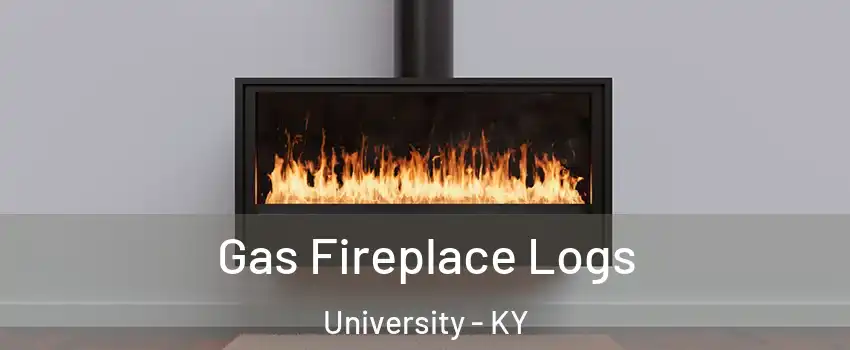 Gas Fireplace Logs University - KY