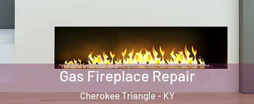 Gas Fireplace Repair Cherokee Triangle - KY