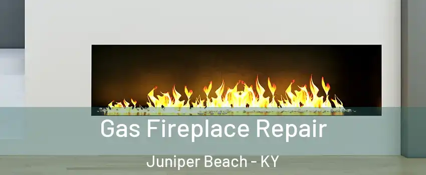 Gas Fireplace Repair Juniper Beach - KY
