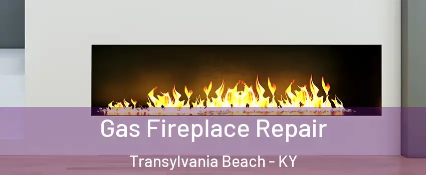Gas Fireplace Repair Transylvania Beach - KY