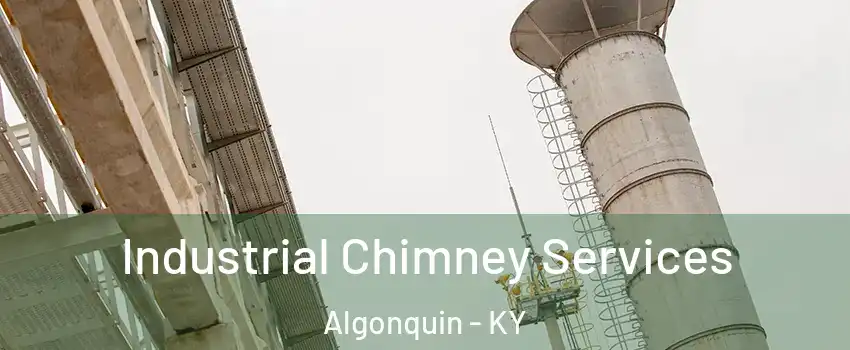 Industrial Chimney Services Algonquin - KY