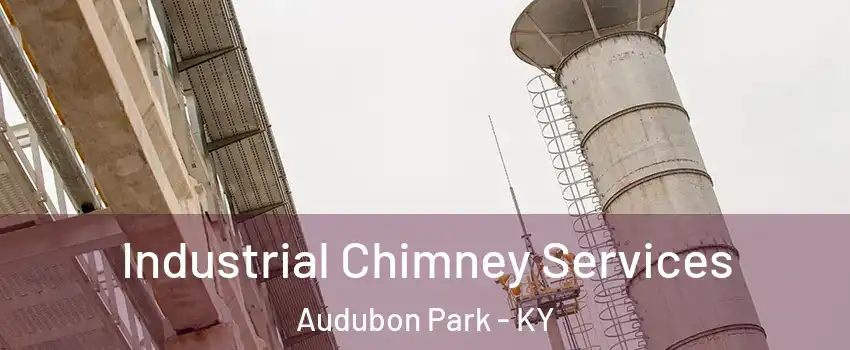 Industrial Chimney Services Audubon Park - KY