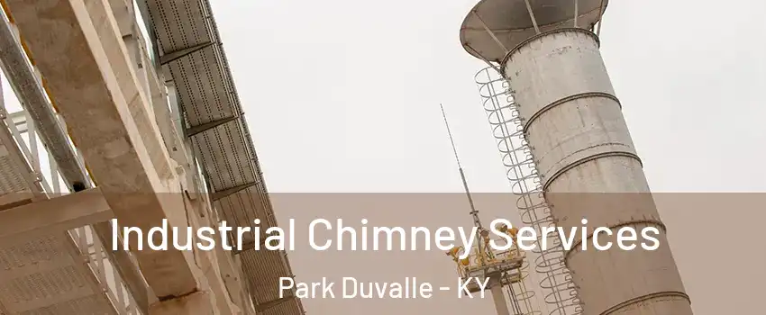 Industrial Chimney Services Park Duvalle - KY