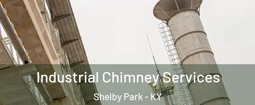 Industrial Chimney Services Shelby Park - KY