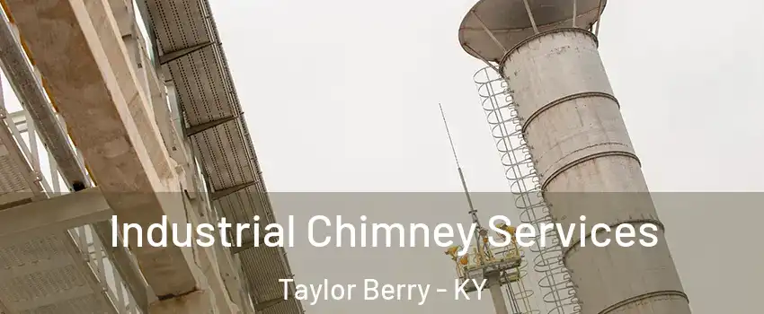 Industrial Chimney Services Taylor Berry - KY