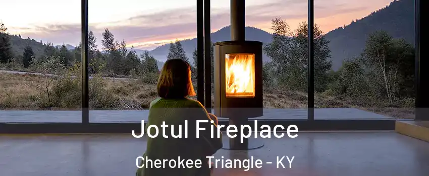 Jotul Fireplace Cherokee Triangle - KY