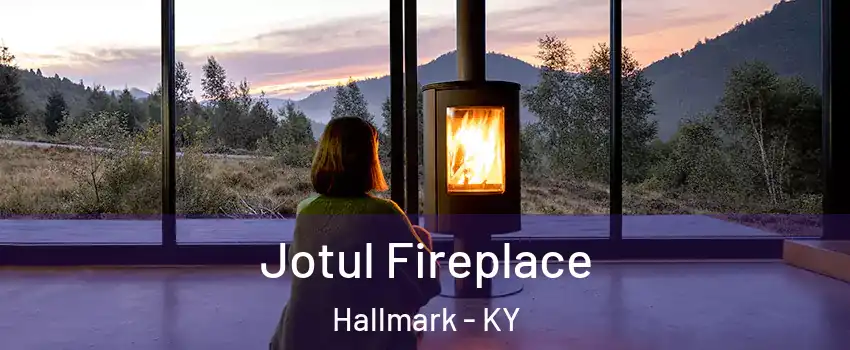 Jotul Fireplace Hallmark - KY