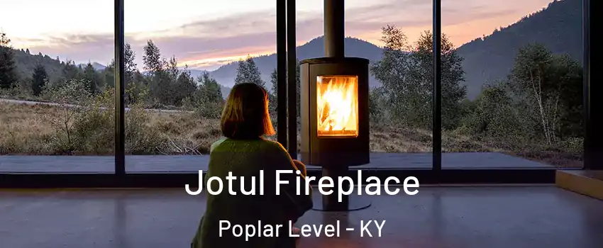 Jotul Fireplace Poplar Level - KY