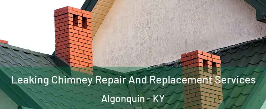 Leaking Chimney Repair And Replacement Services Algonquin - KY