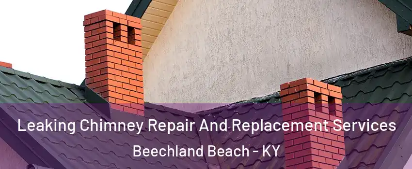 Leaking Chimney Repair And Replacement Services Beechland Beach - KY