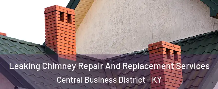 Leaking Chimney Repair And Replacement Services Central Business District - KY