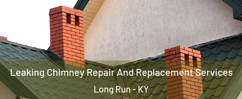 Leaking Chimney Repair And Replacement Services Long Run - KY