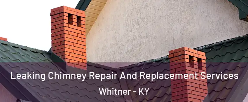 Leaking Chimney Repair And Replacement Services Whitner - KY