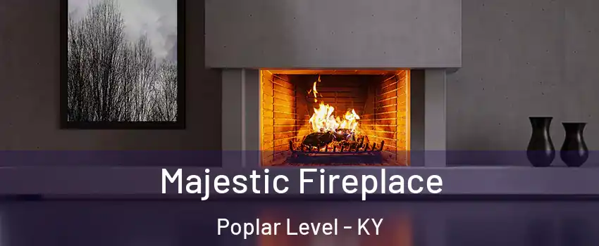 Majestic Fireplace Poplar Level - KY