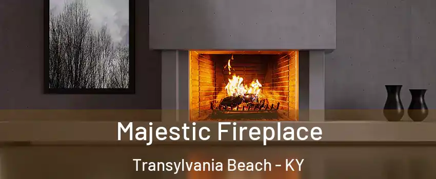 Majestic Fireplace Transylvania Beach - KY