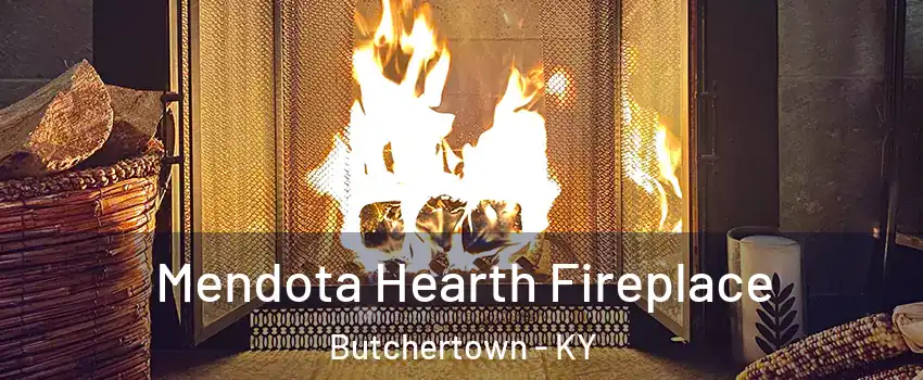 Mendota Hearth Fireplace Butchertown - KY