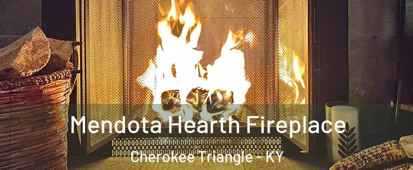 Mendota Hearth Fireplace Cherokee Triangle - KY