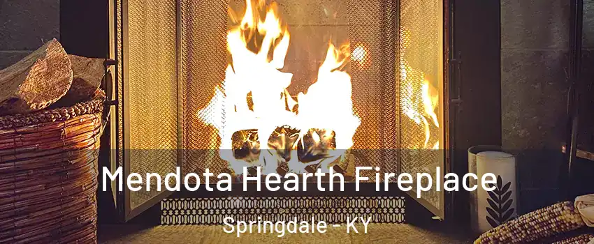 Mendota Hearth Fireplace Springdale - KY