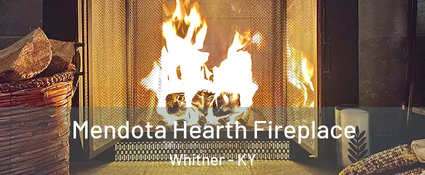 Mendota Hearth Fireplace Whitner - KY
