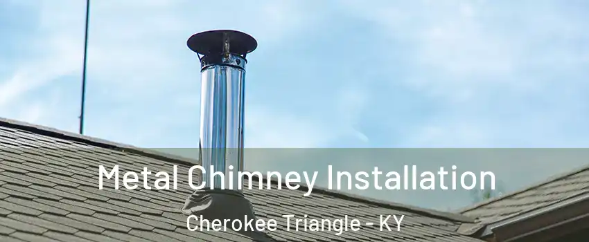 Metal Chimney Installation Cherokee Triangle - KY