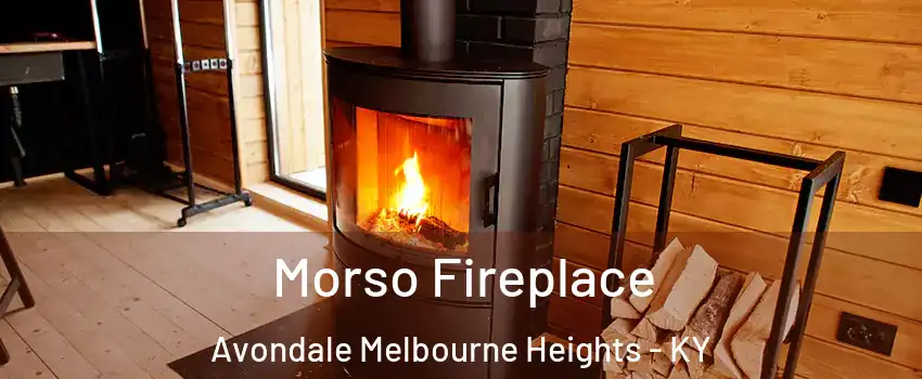 Morso Fireplace Avondale Melbourne Heights - KY