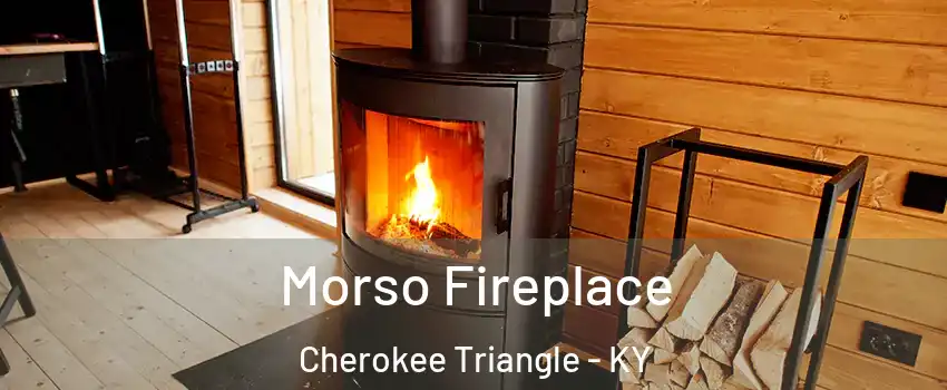 Morso Fireplace Cherokee Triangle - KY