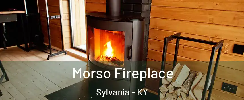 Morso Fireplace Sylvania - KY