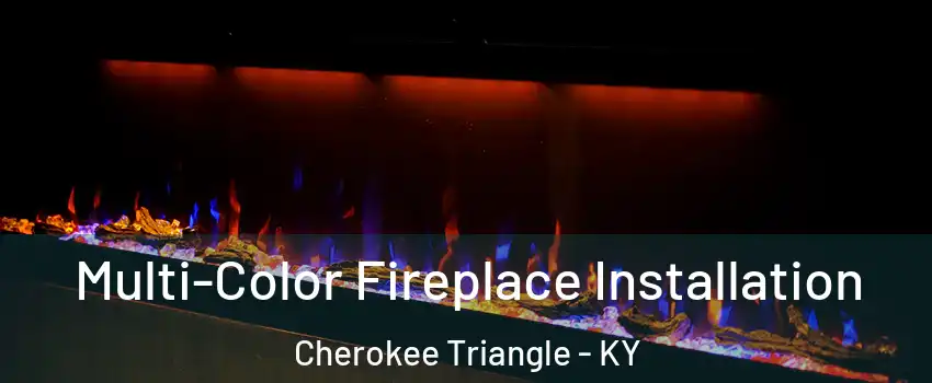 Multi-Color Fireplace Installation Cherokee Triangle - KY