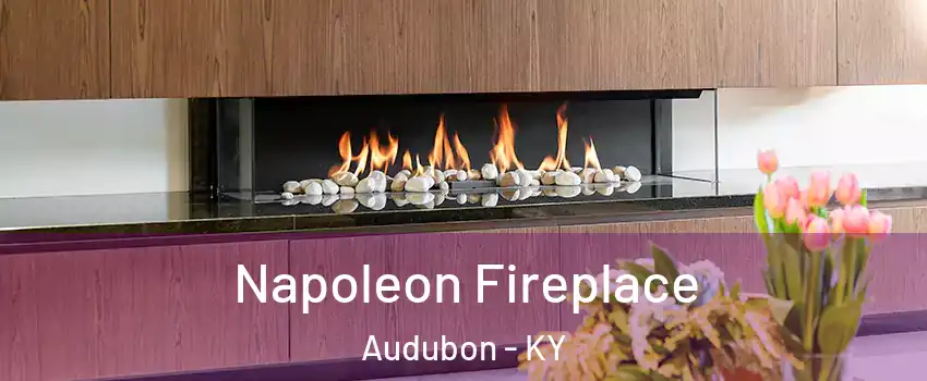 Napoleon Fireplace Audubon - KY