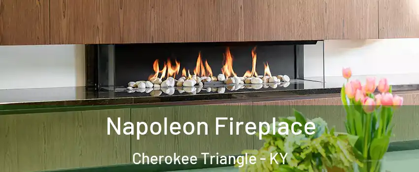 Napoleon Fireplace Cherokee Triangle - KY