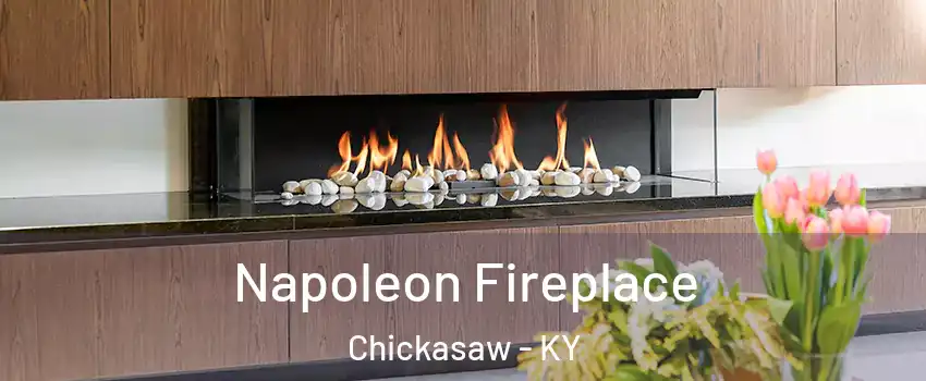 Napoleon Fireplace Chickasaw - KY