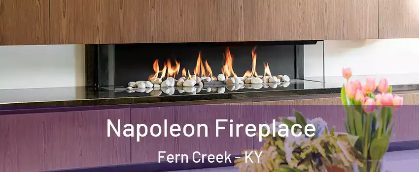 Napoleon Fireplace Fern Creek - KY