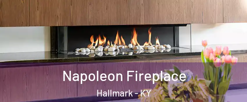 Napoleon Fireplace Hallmark - KY
