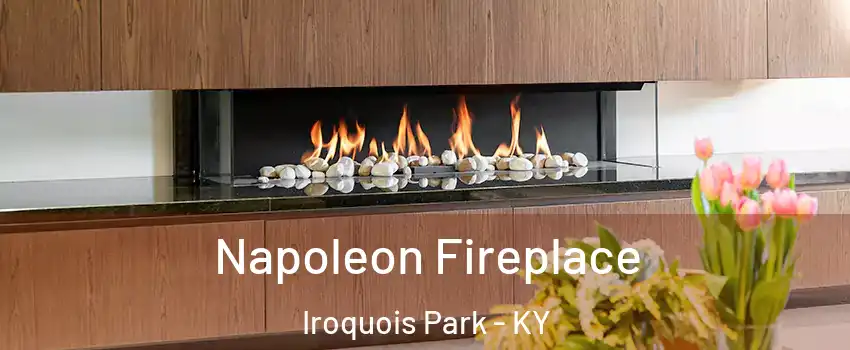Napoleon Fireplace Iroquois Park - KY