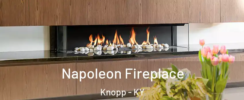 Napoleon Fireplace Knopp - KY