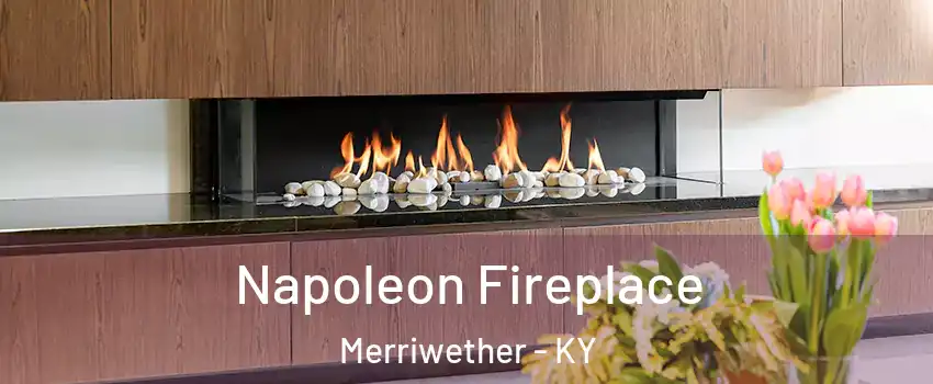 Napoleon Fireplace Merriwether - KY