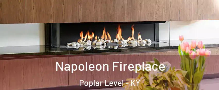 Napoleon Fireplace Poplar Level - KY