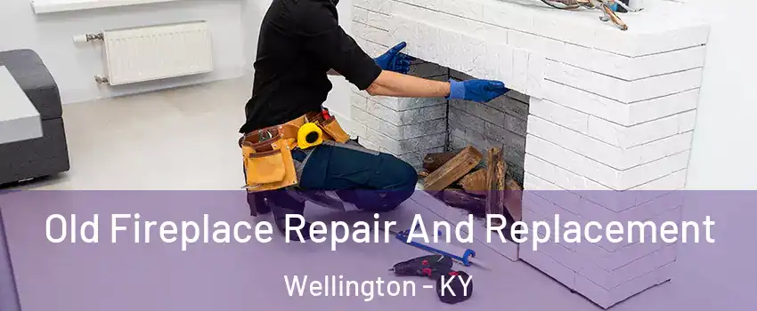 Old Fireplace Repair And Replacement Wellington - KY