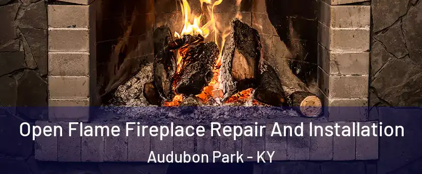 Open Flame Fireplace Repair And Installation Audubon Park - KY
