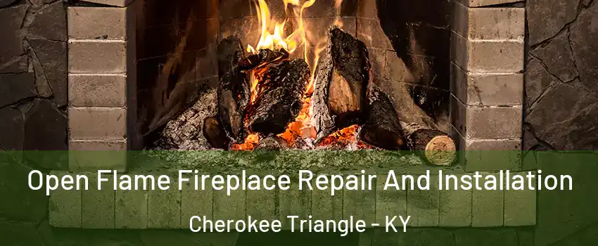 Open Flame Fireplace Repair And Installation Cherokee Triangle - KY
