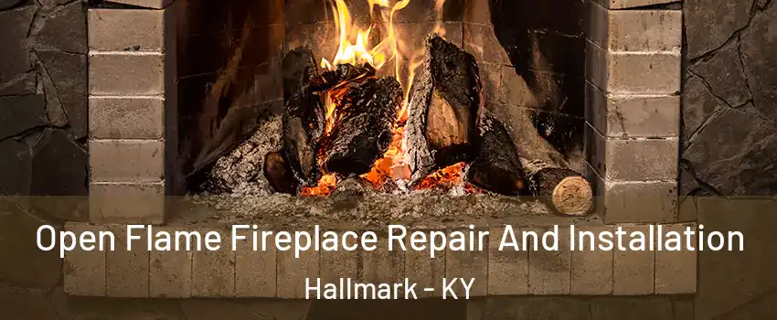 Open Flame Fireplace Repair And Installation Hallmark - KY