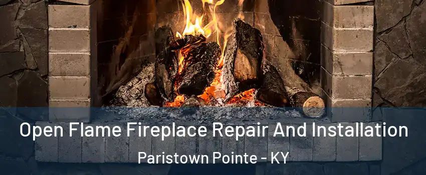 Open Flame Fireplace Repair And Installation Paristown Pointe - KY