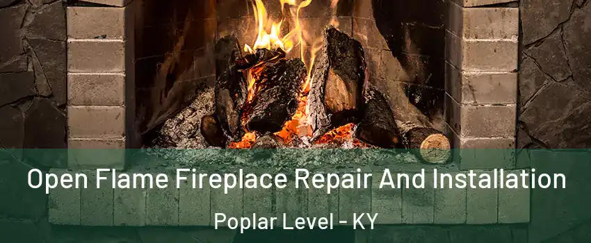 Open Flame Fireplace Repair And Installation Poplar Level - KY