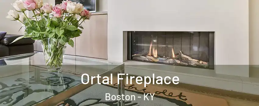Ortal Fireplace Boston - KY