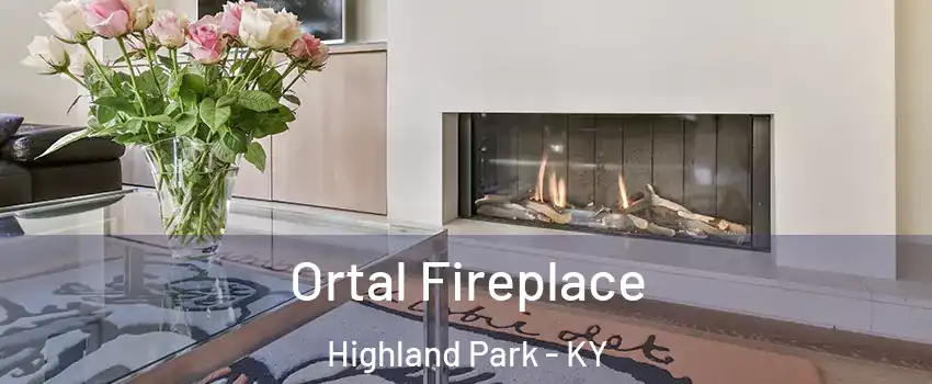 Ortal Fireplace Highland Park - KY