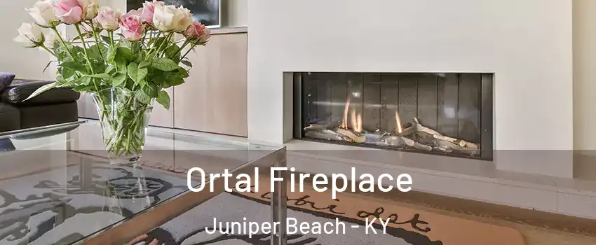 Ortal Fireplace Juniper Beach - KY