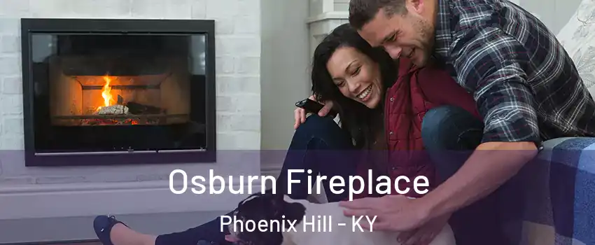 Osburn Fireplace Phoenix Hill - KY