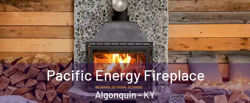 Pacific Energy Fireplace Algonquin - KY