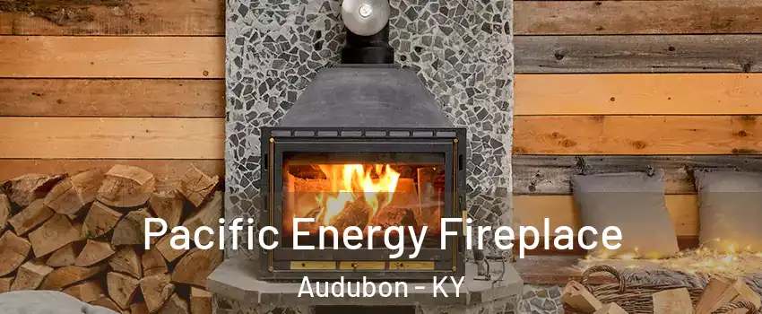 Pacific Energy Fireplace Audubon - KY