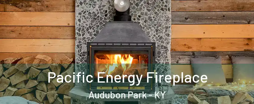 Pacific Energy Fireplace Audubon Park - KY